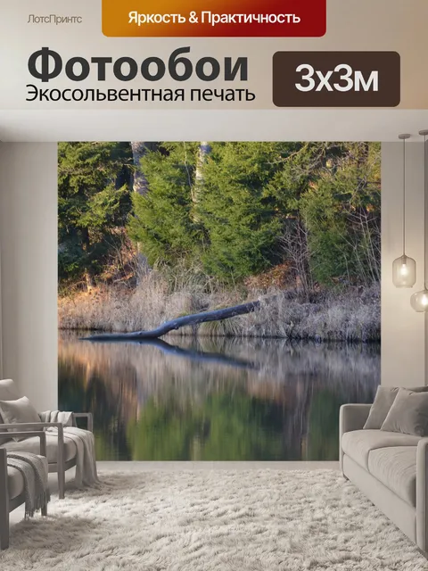 Фотообои Лес