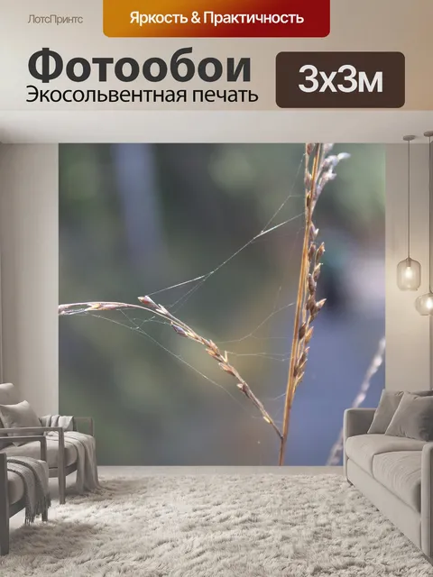 Фотообои Фотография