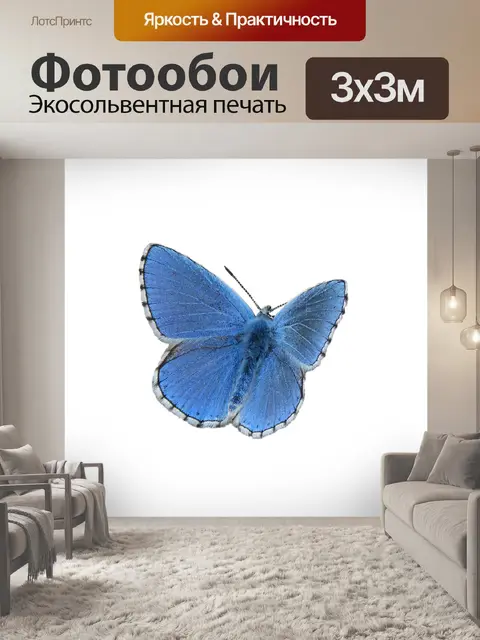 Фотообои Бабочка