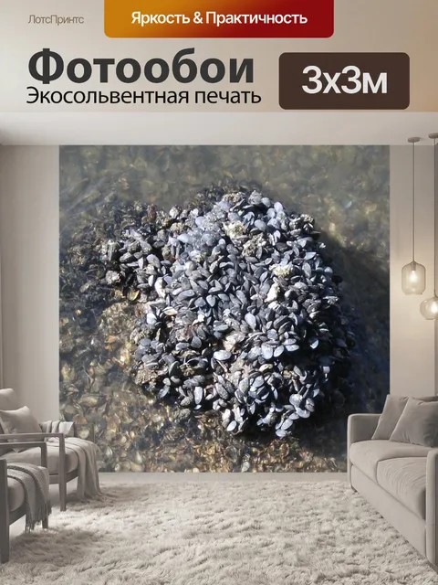 Фотообои Море