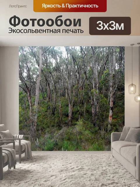 Фотообои Лесной