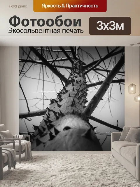 Фотообои Дерево