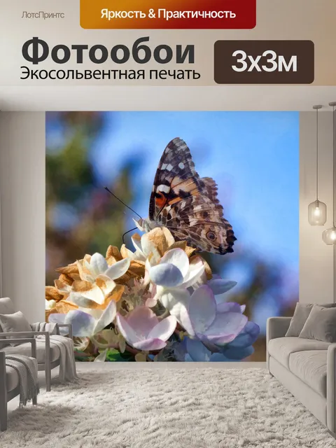 Фотообои Бабочка на цветах