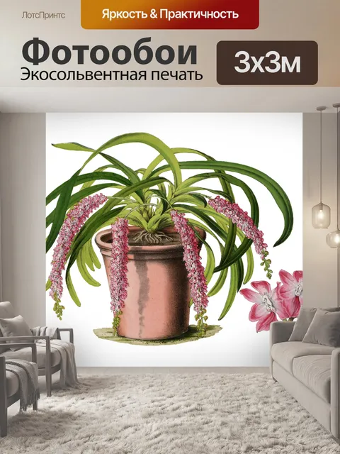 Фотообои Цветок Розовый Орхидея Винтаж