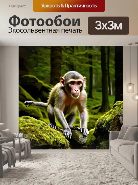 Фотообои древние руины в лесу служат фоном для резус-макаки, которая игриво исследует камни и мох