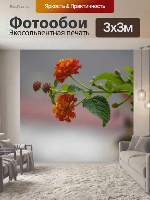 Фотообои Космос