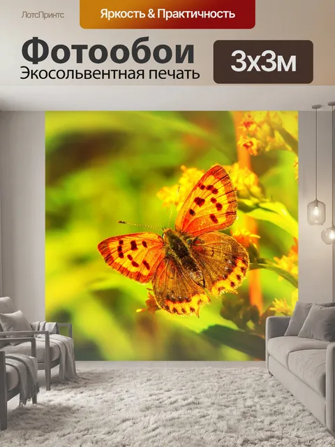 Фотообои Czerwończyk разновидности
