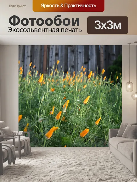 Фотообои Калифорния маки