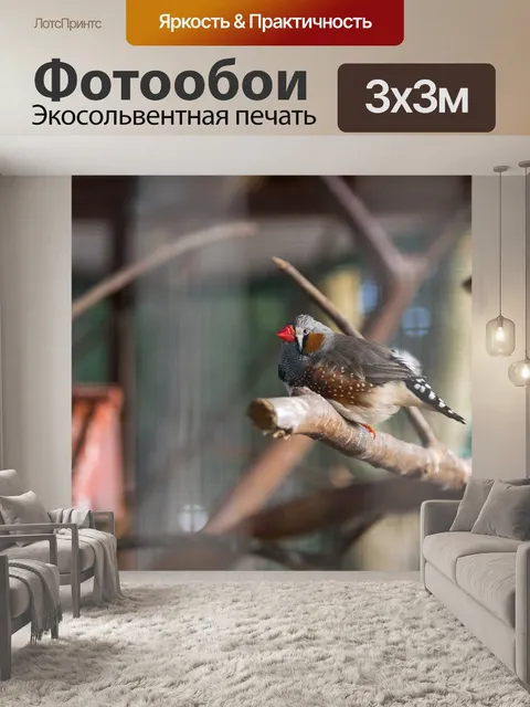 Фотообои Животные