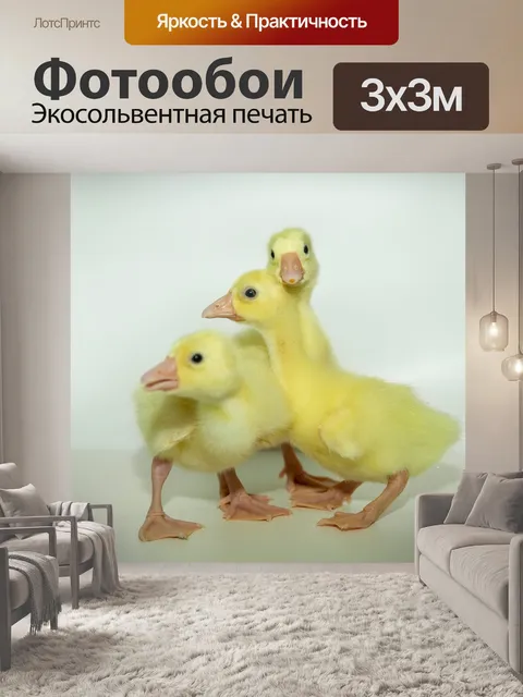 Фотообои Гуси