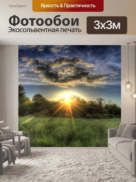 Фотообои Затухание солнце над верхушками деревьев
