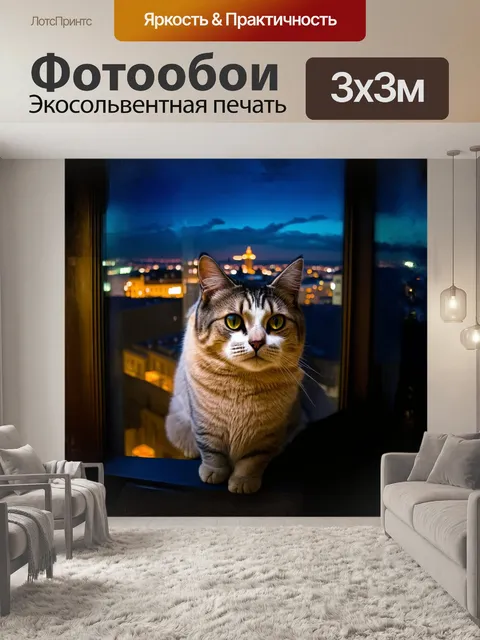 Фотообои британский кот с округлыми щечками и хитрым выражением мордочки наблюдает за огнями ночного города через…