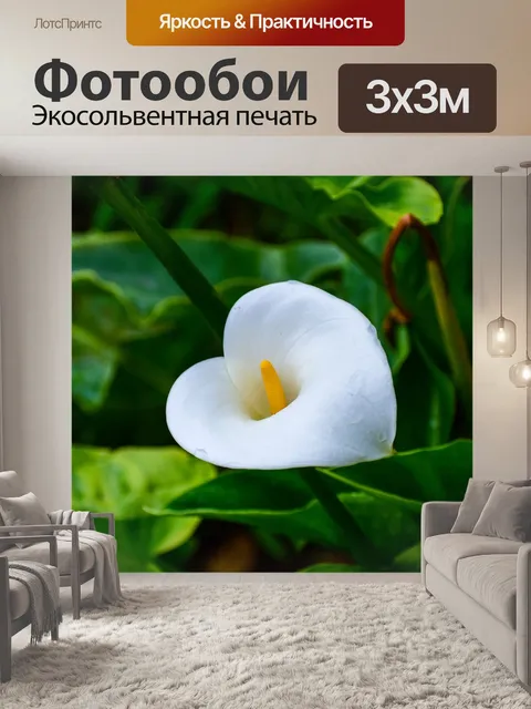 Фотообои Цветок