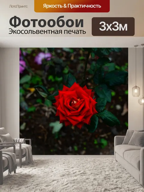 Фотообои Геометрия