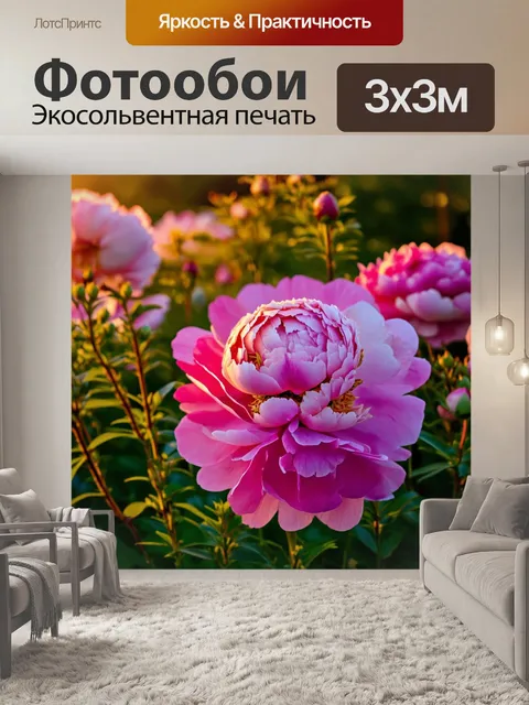 Фотообои пионы в вечернем закате, их оттенки переливаются в мягком свете сумерек