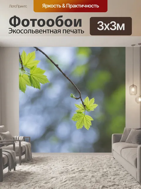 Фотообои Клен