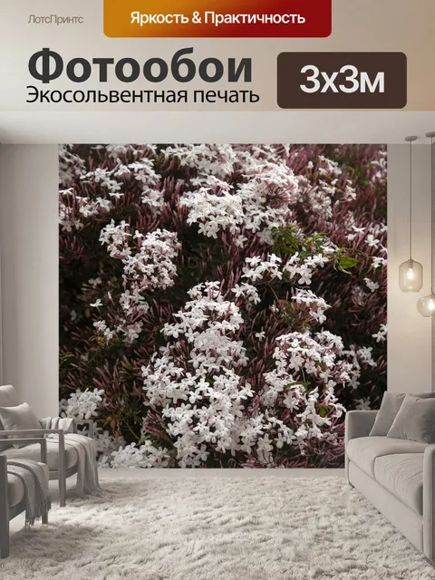 Фотообои Цветы