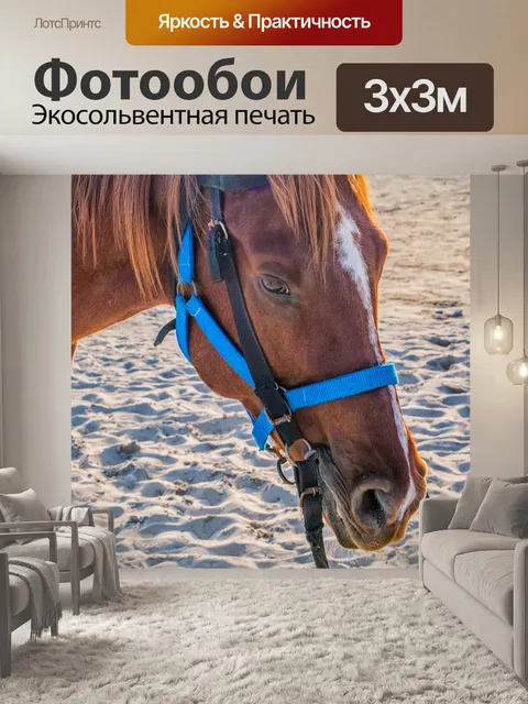 Фотообои Лошадь