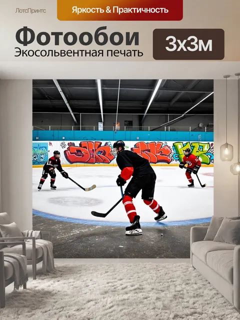 Фотообои городская хоккейная площадка