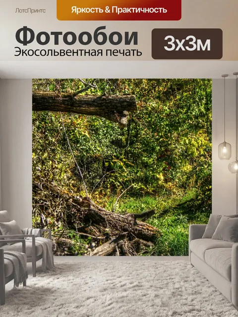 Фотообои Густой лес