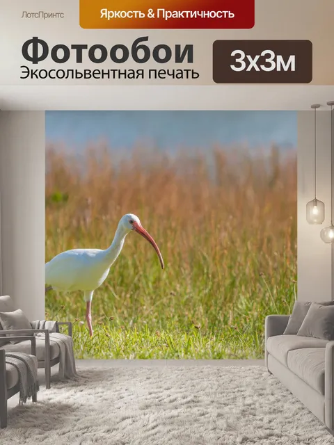 Фотообои Птица