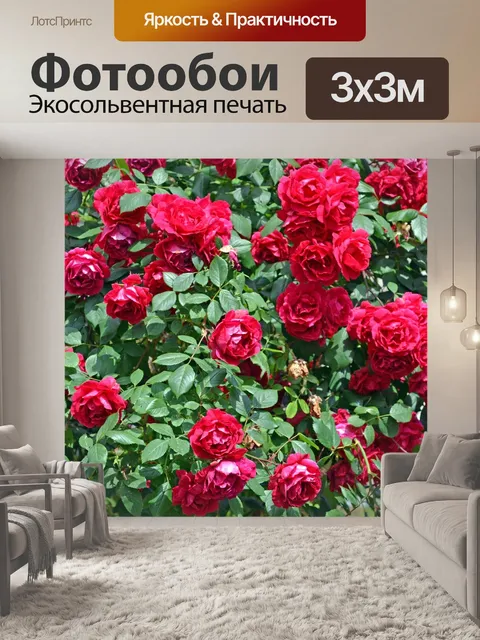 Фотообои Розы
