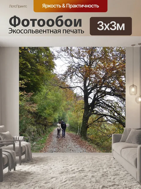 Фотообои Осень