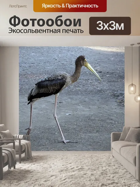Фотообои Птица