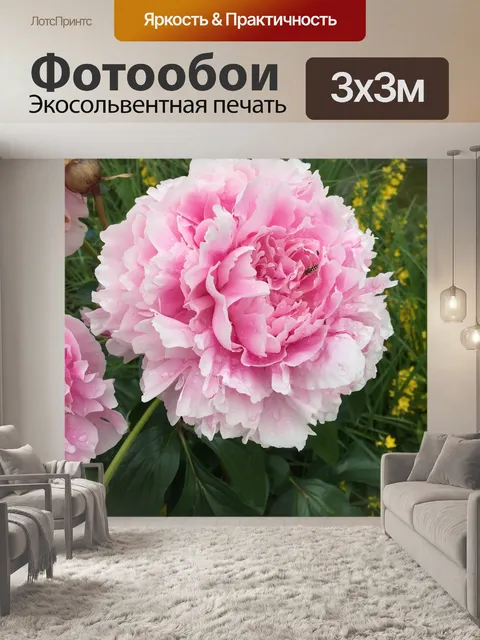 Фотообои Пион