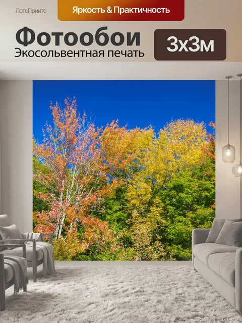 Фотообои Осенние деревья и голубое небо