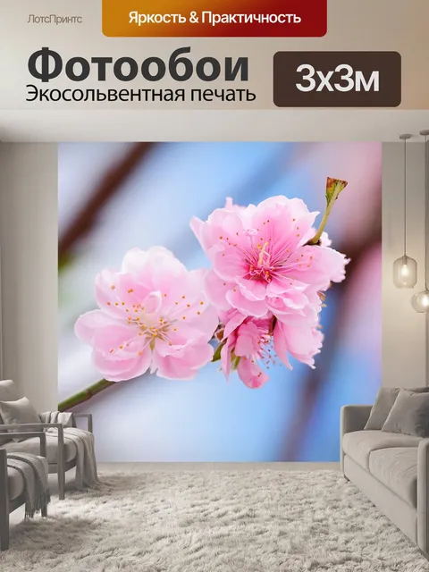 Фотообои Персик
