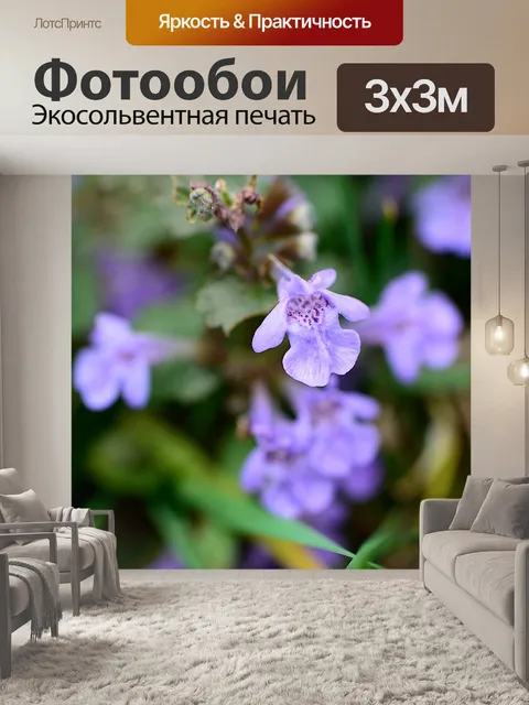 Фотообои Цветы