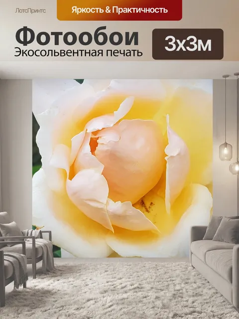 Фотообои Белый и желтый градиент розы