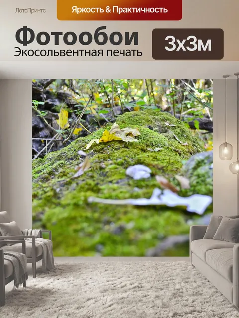 Фотообои Лес