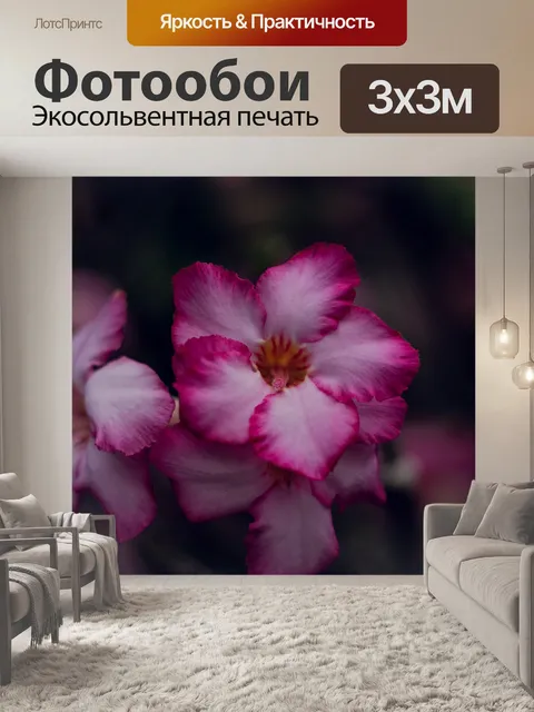 Фотообои Увлекательно