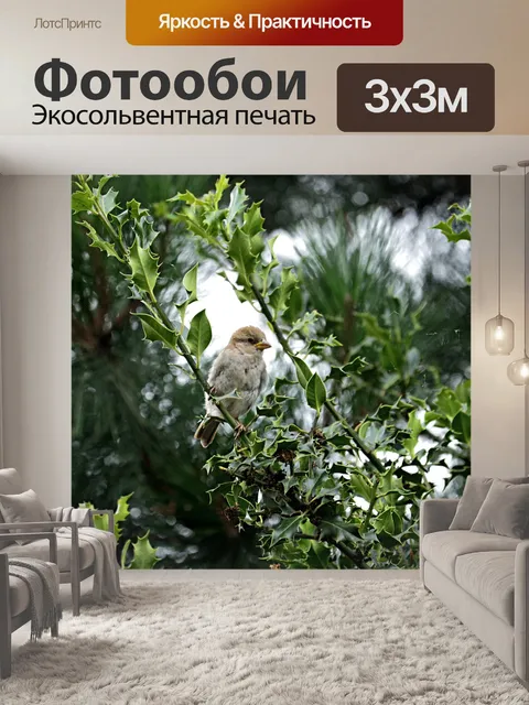 Фотообои Птица