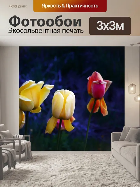 Фотообои ночные тюльпаны