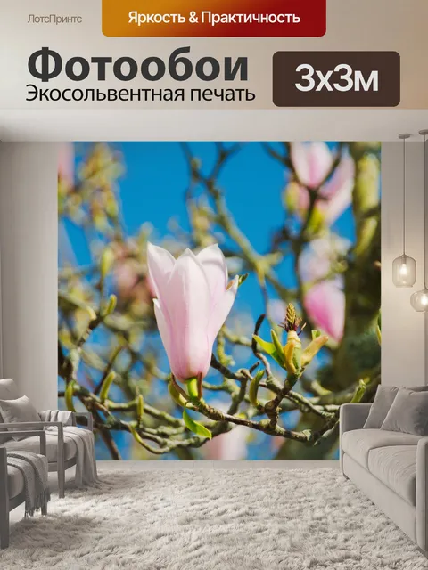 Фотообои Деревья с магнолиями
