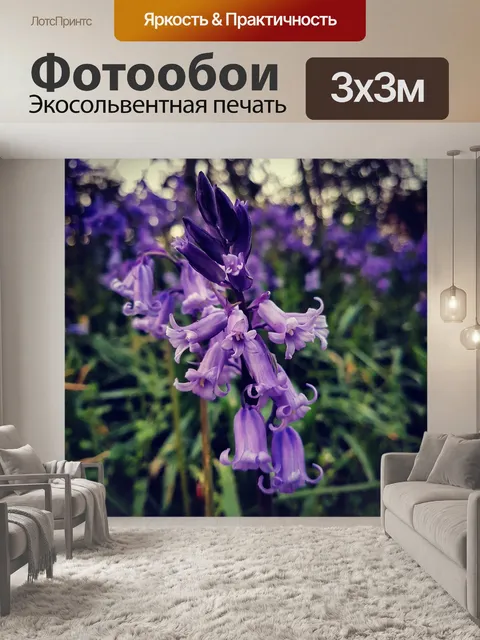 Фотообои Цветок