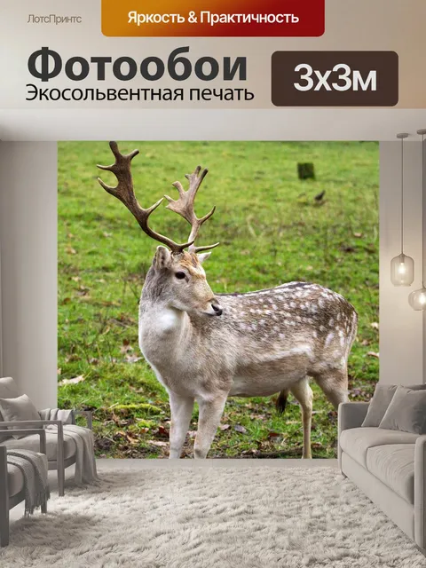 Фотообои Лань