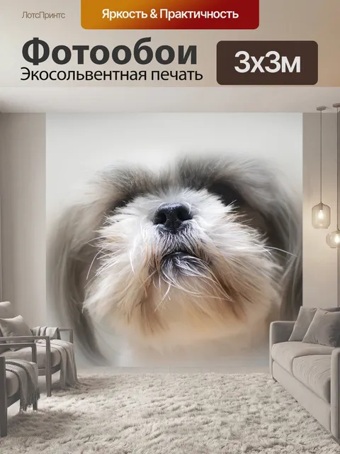 Фотообои Талисман