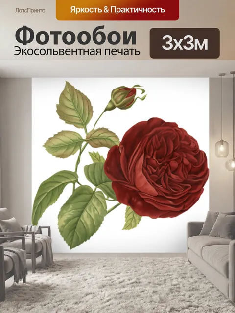 Фотообои Роза