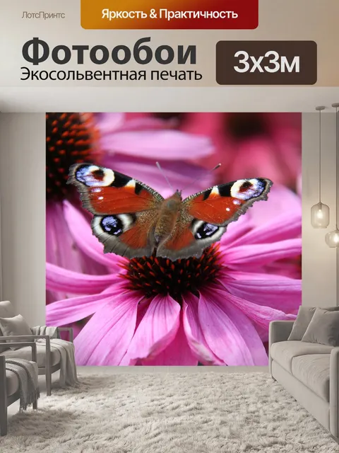 Фотообои Бабочка