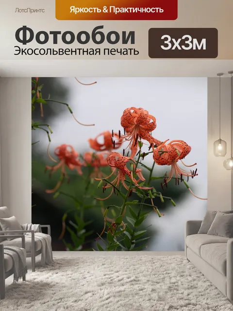 Фотообои Дикие лилии