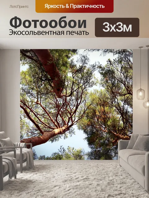 Фотообои Красная сосна