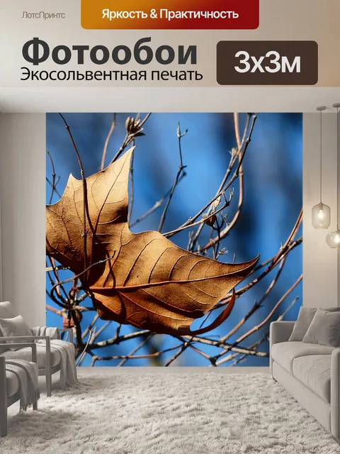 Фотообои Лист