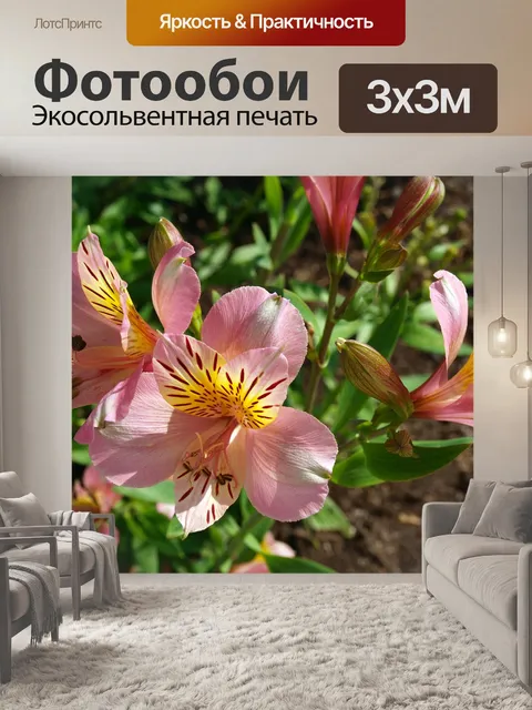 Фотообои Цветы