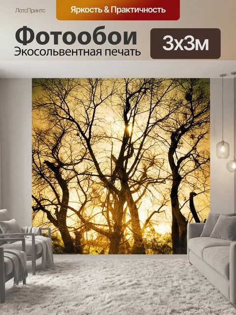 Фотообои Вс Flare через деревья
