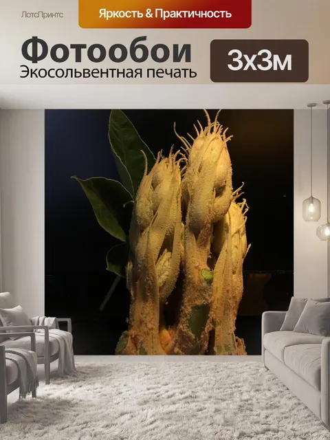 Фотообои Листы