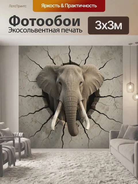 300 × 300 см · Экосольвентная печать